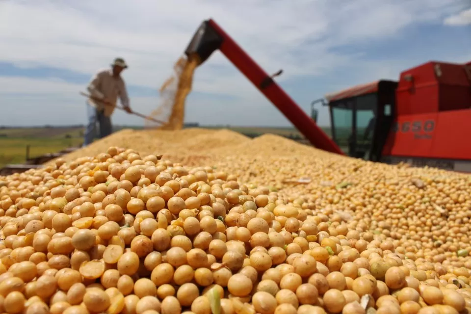 Agropecuário