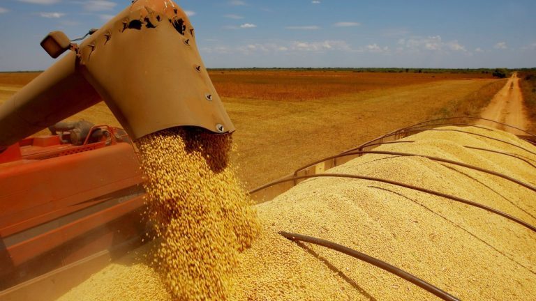 O Brasil segue quebrando todos os recordes quando o assunto é exportação de soja. De janeiro a maio deste ano o país já embarcou 49,725 milhões de toneladas