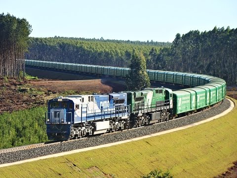 Carga movimentada por trens até portos do PR cresce 15%