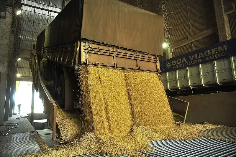 Exportações