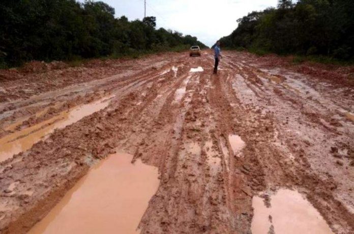 O Ministro da Infraestrutura, Tarcísio Gomes de Freitas, disse que as obras de asfaltamento do chamado trecho do meio da BR-319 começarão no próximo ano.