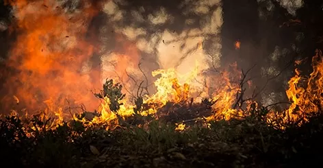 Dirigir em estradas próximas a focos de incêndios requer maior atenção. Ao longo dos meses de inverno, a estiagem e a seca no território brasileiro