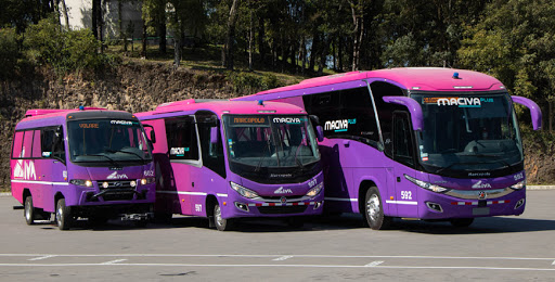 O grupo Civa, um dos principais operadores de transporte de passageiros do Peru, adquiriu 32 ônibus Marcopolo e Volare novos. Assim, os modelos serão usados