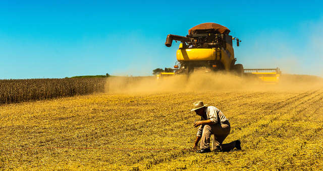 Agricultores enfrentam dificuldades com o transporte de soja após um volume de produção maior que o esperado e falta de caminhões graneleiros.