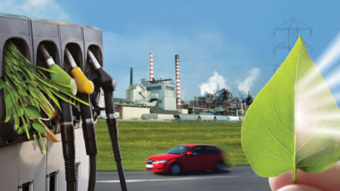 A Brasil BioFuels (BBF) anunciou um contrato de compra e venda de diesel verde com a empresa Vibra. A origem do produto será feito pela primeira refinaria de diesel