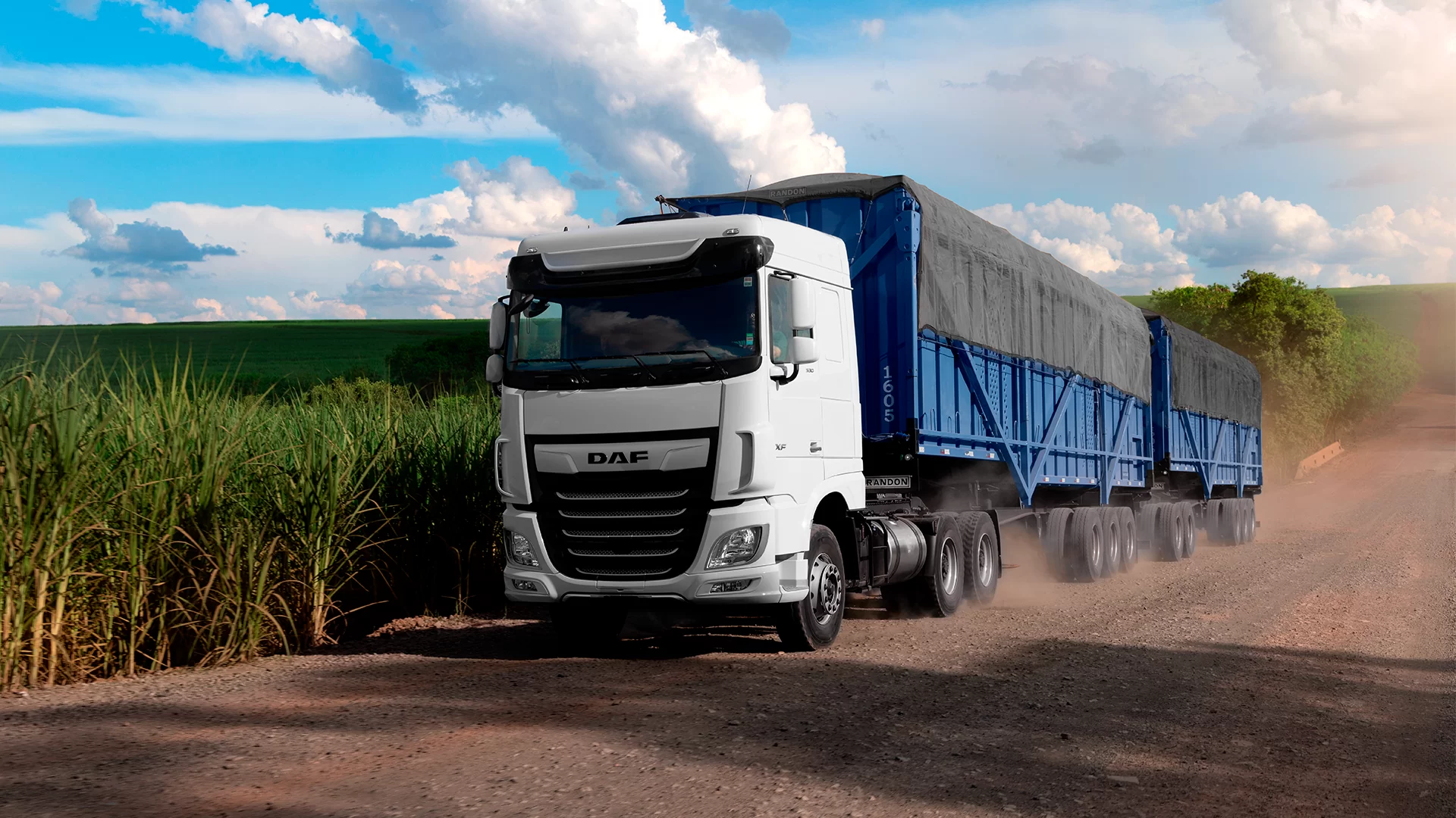 DAF