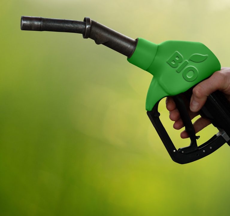 “É preciso fiscalizar melhor a mistura do diesel com o biodiesel”, diz ICL