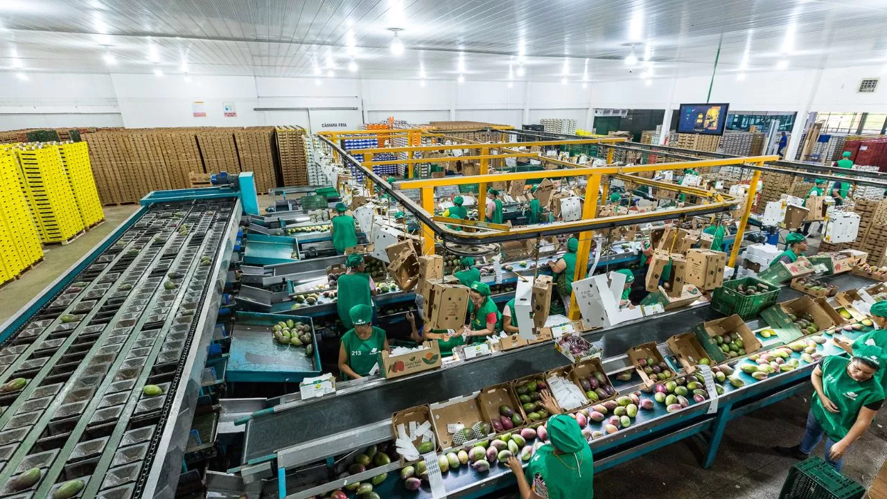 Fortallog_frutas