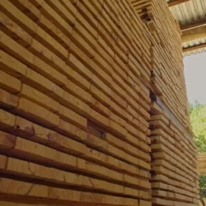 Madeira de exportação | Divulgação