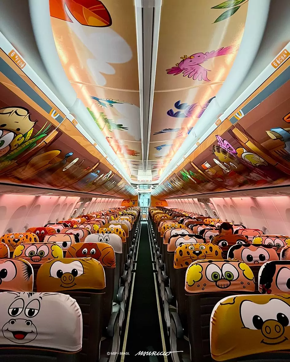 Avião Chico Bento