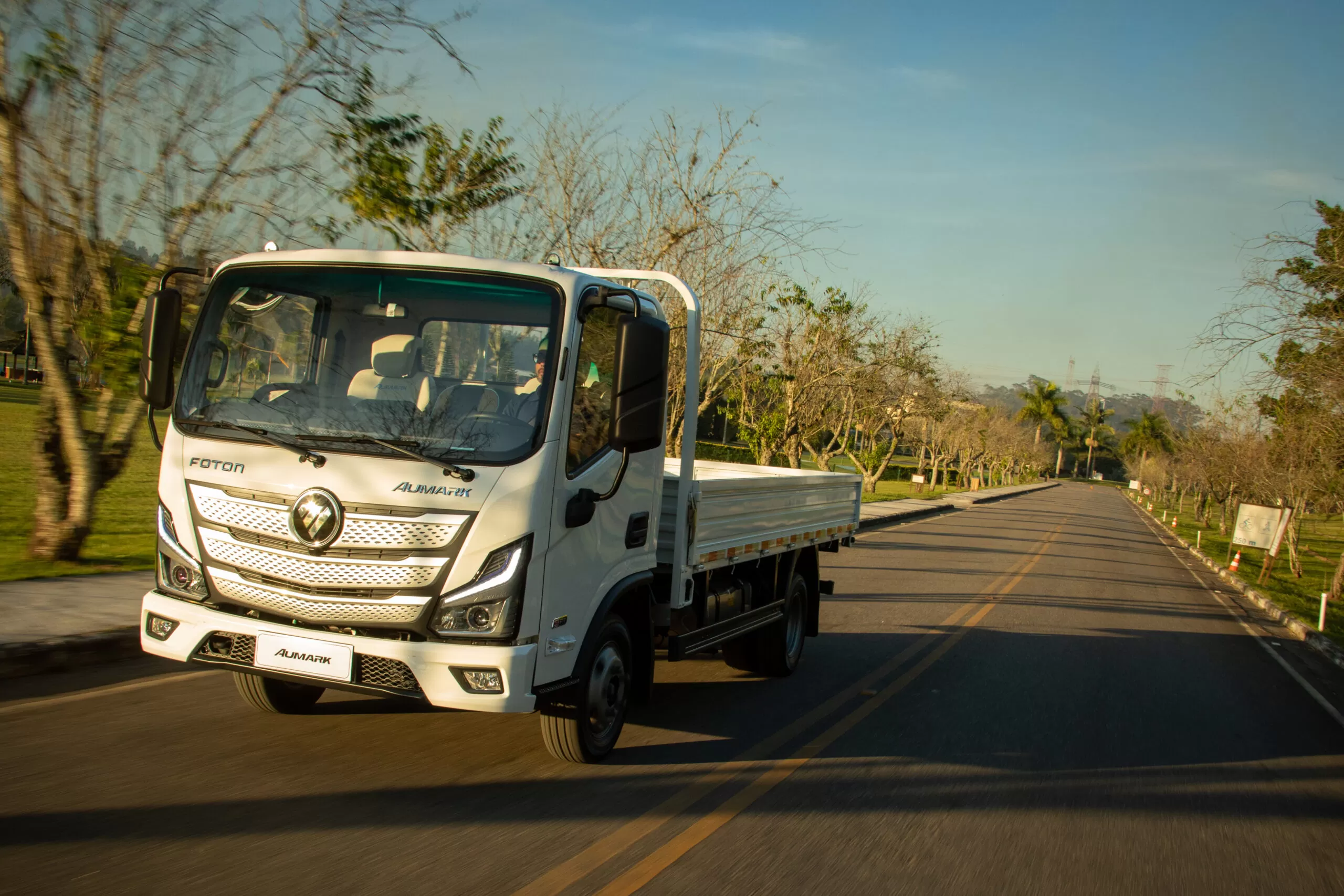 Foton Aumark