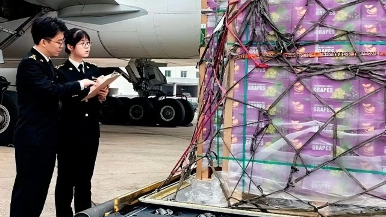Inspeçao de frutas brasileiras pela alfândega do Aeroporto de Xiamen | Foto: Divulgação