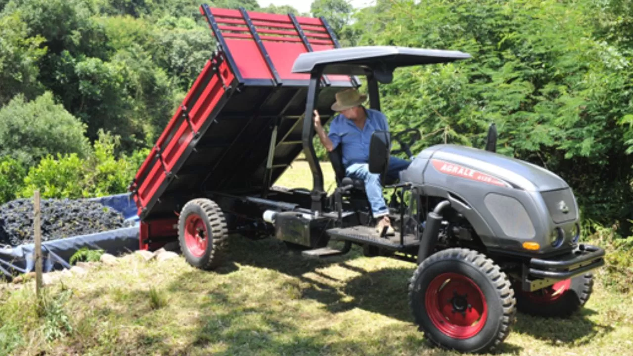 Agrale 4125 Cargo Agrale 4125 Cargo