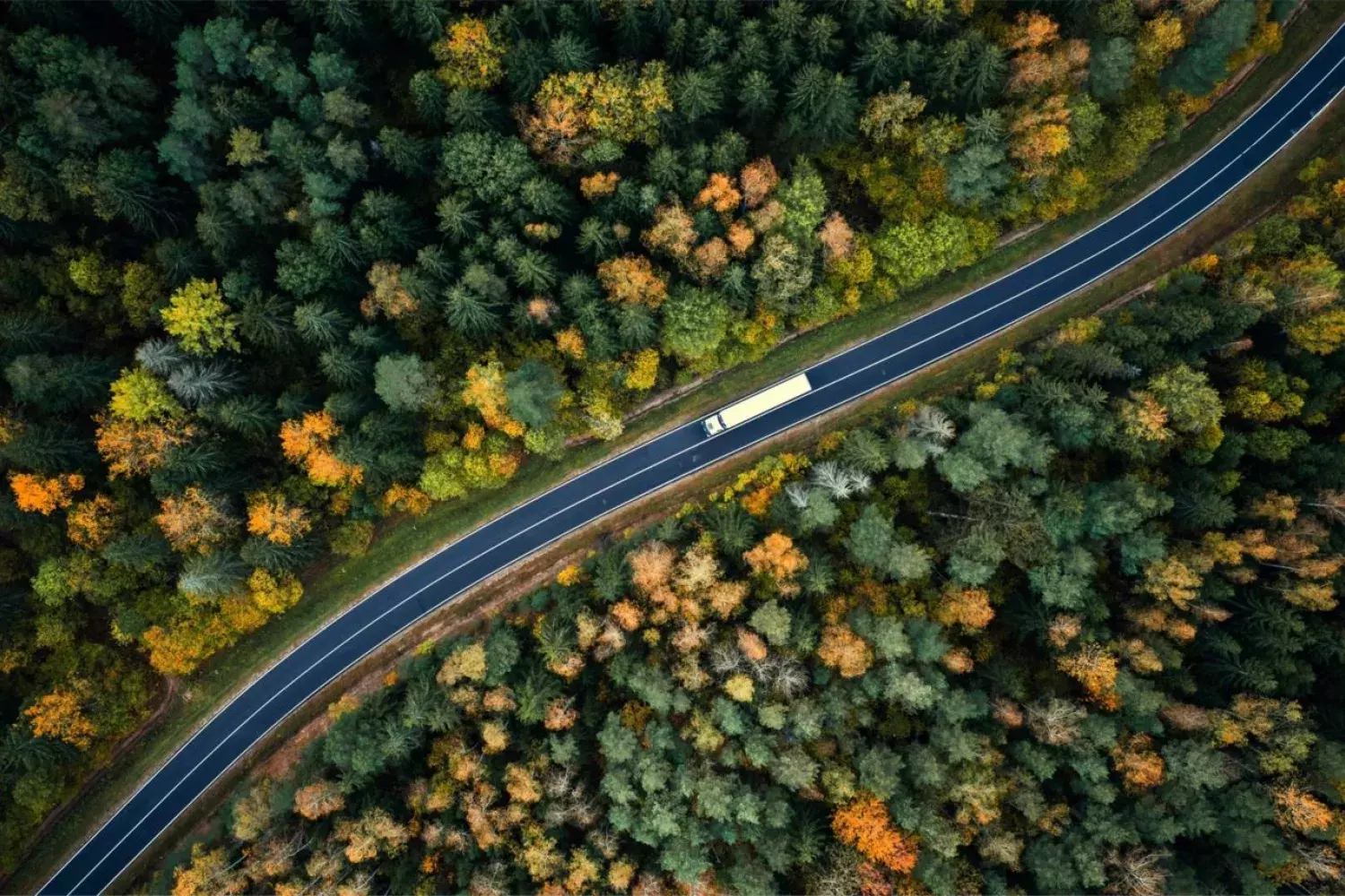 Cummins desbrava caminhos para um futuro sustentável
