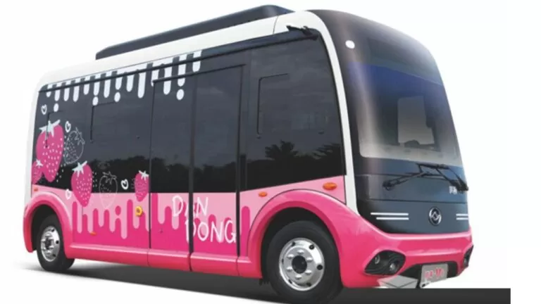 Huanghai Auto Sweet Berry V8