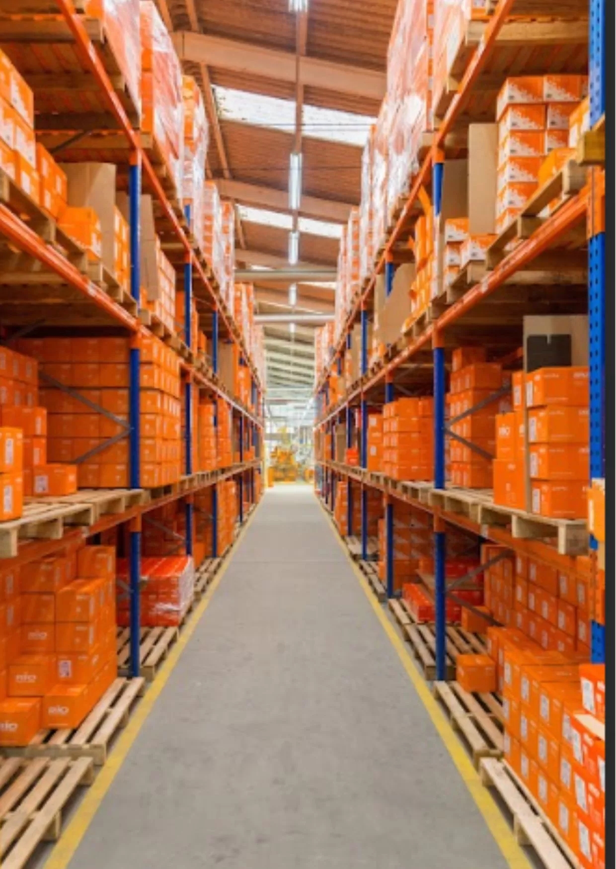 Centro de Distribuição Interna da RIO-Riosulense