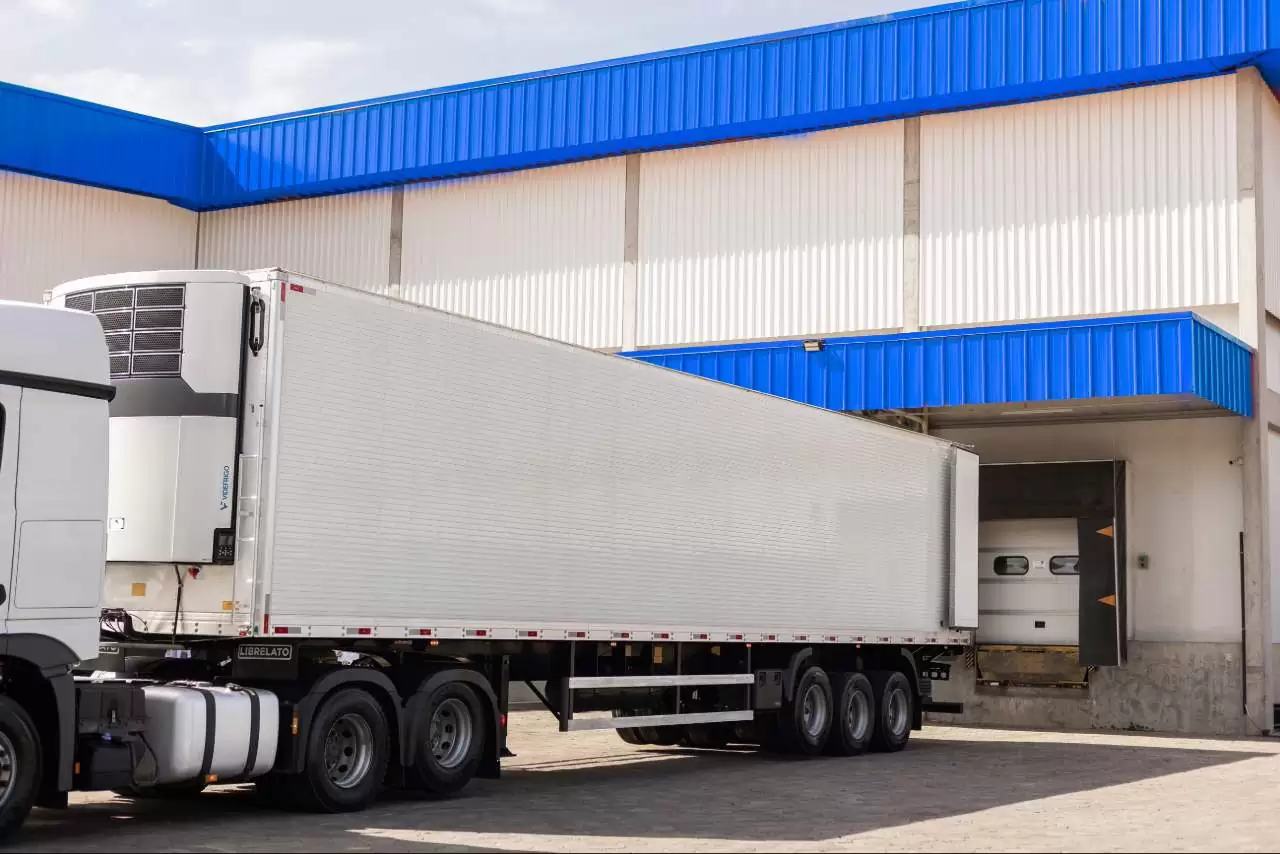 Adobe Express file (64)