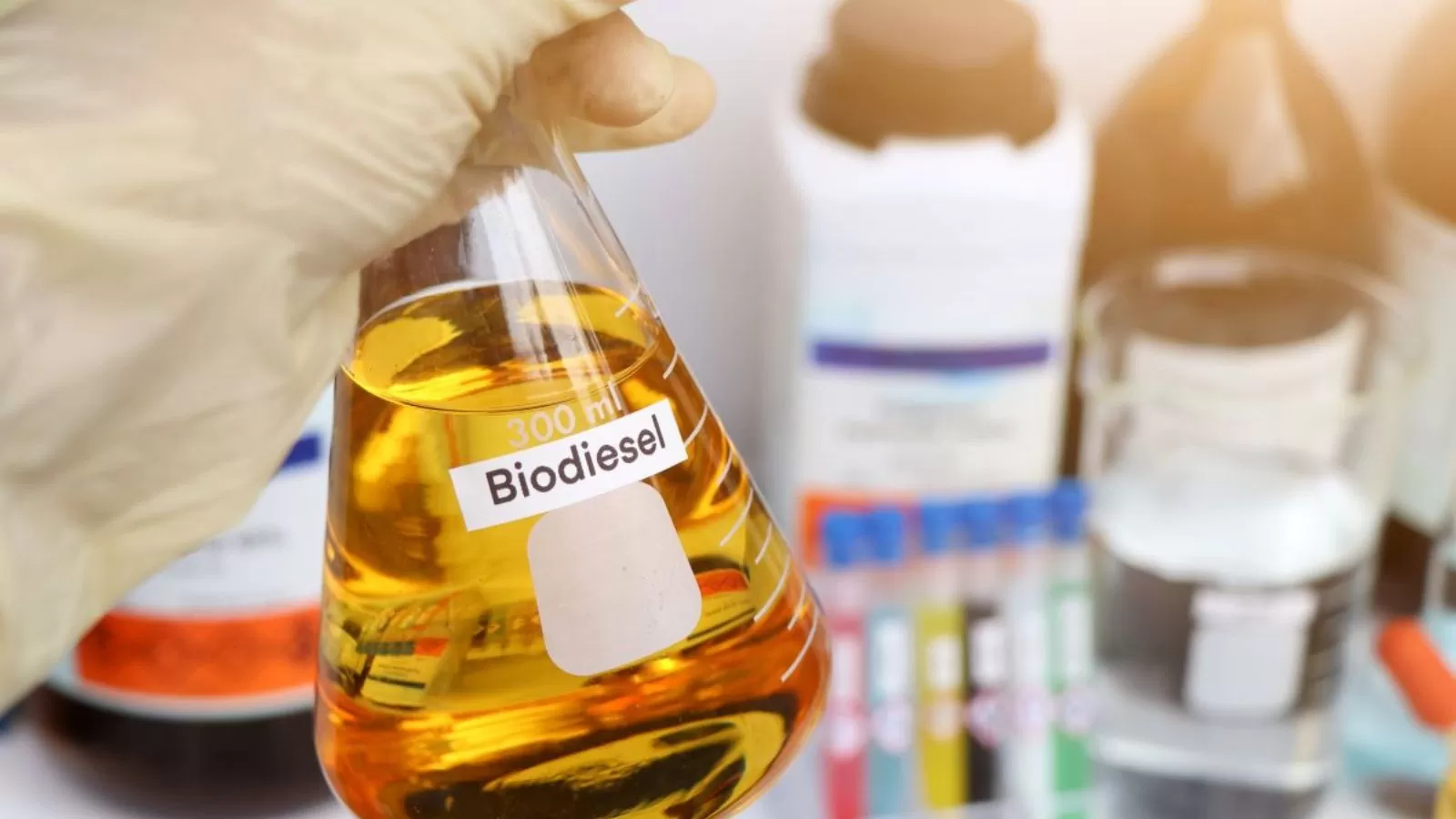 Biodiesel B20