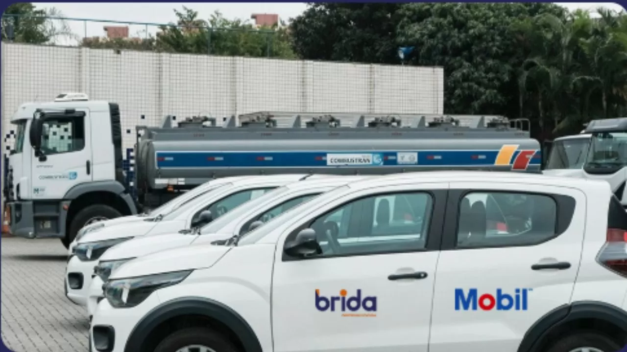Frota da Brida Distribuidora