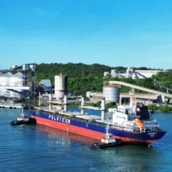WhatsApp Image 2026 04 16 at 16.56.53 primeiro navio de granéis sólidos vegetais que chegou no ATU 18 em março