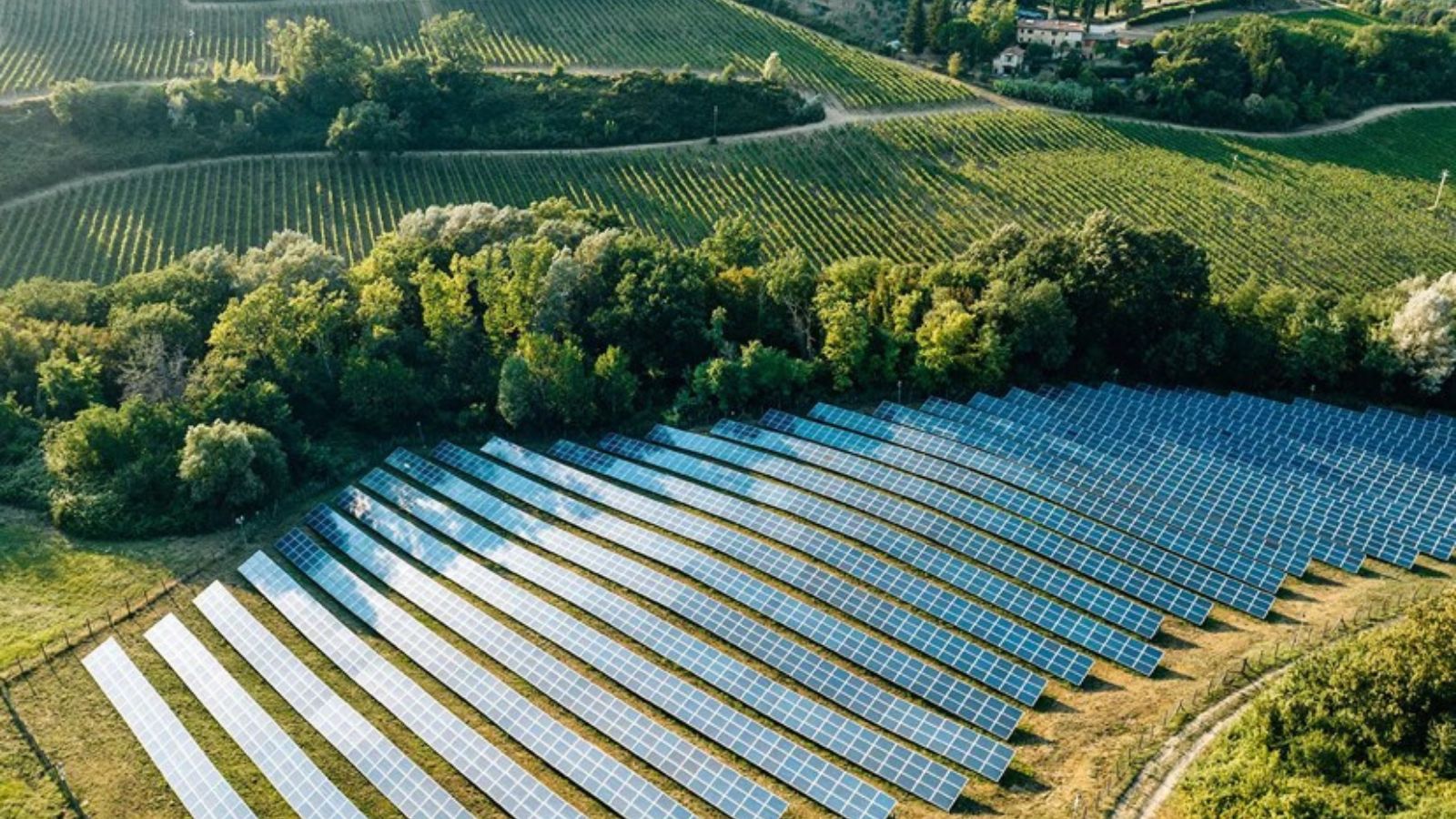 Eaton reduz emissões e amplia investimentos em sustentabilidade, aponta relatório